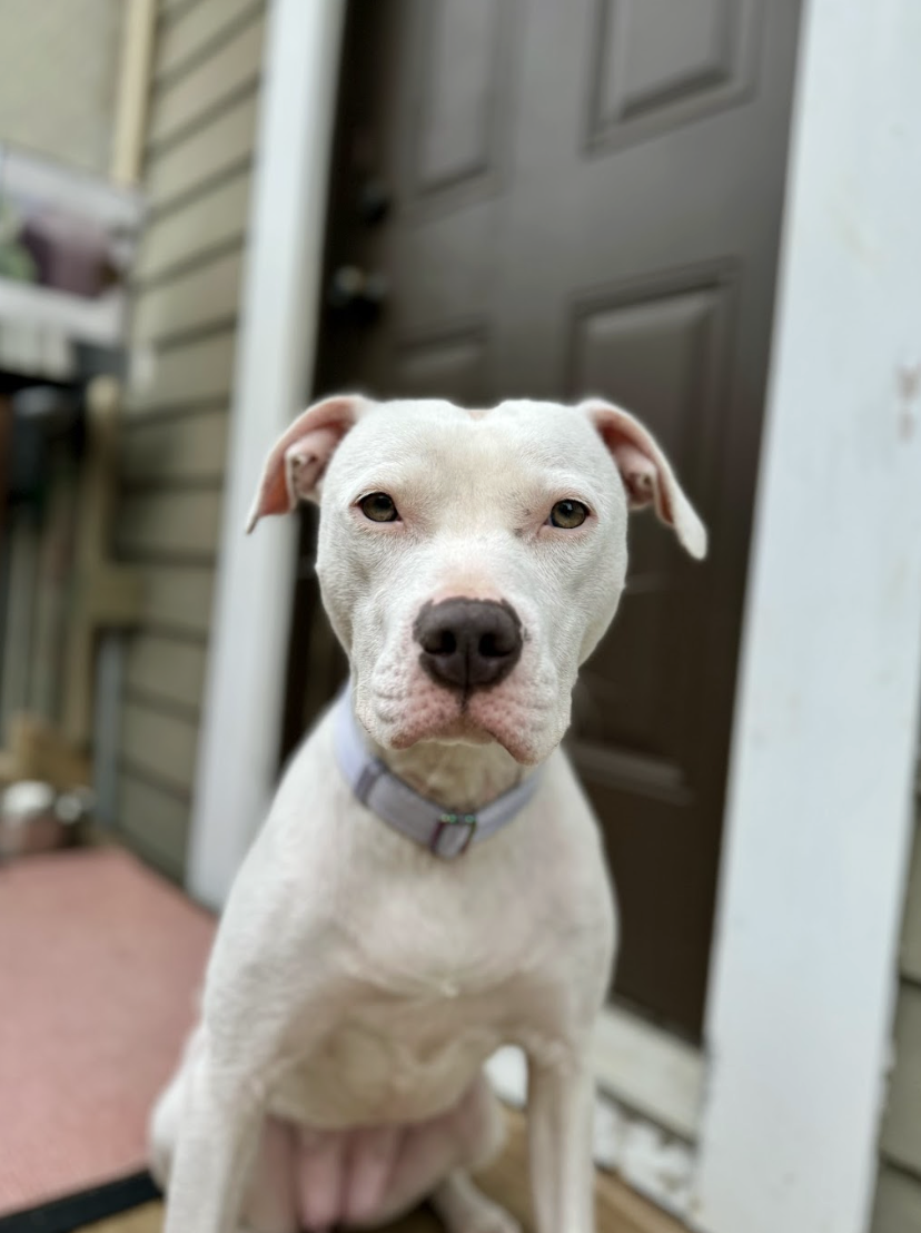 Screenshot 2025-12-16 at 2.58.37 PM.png