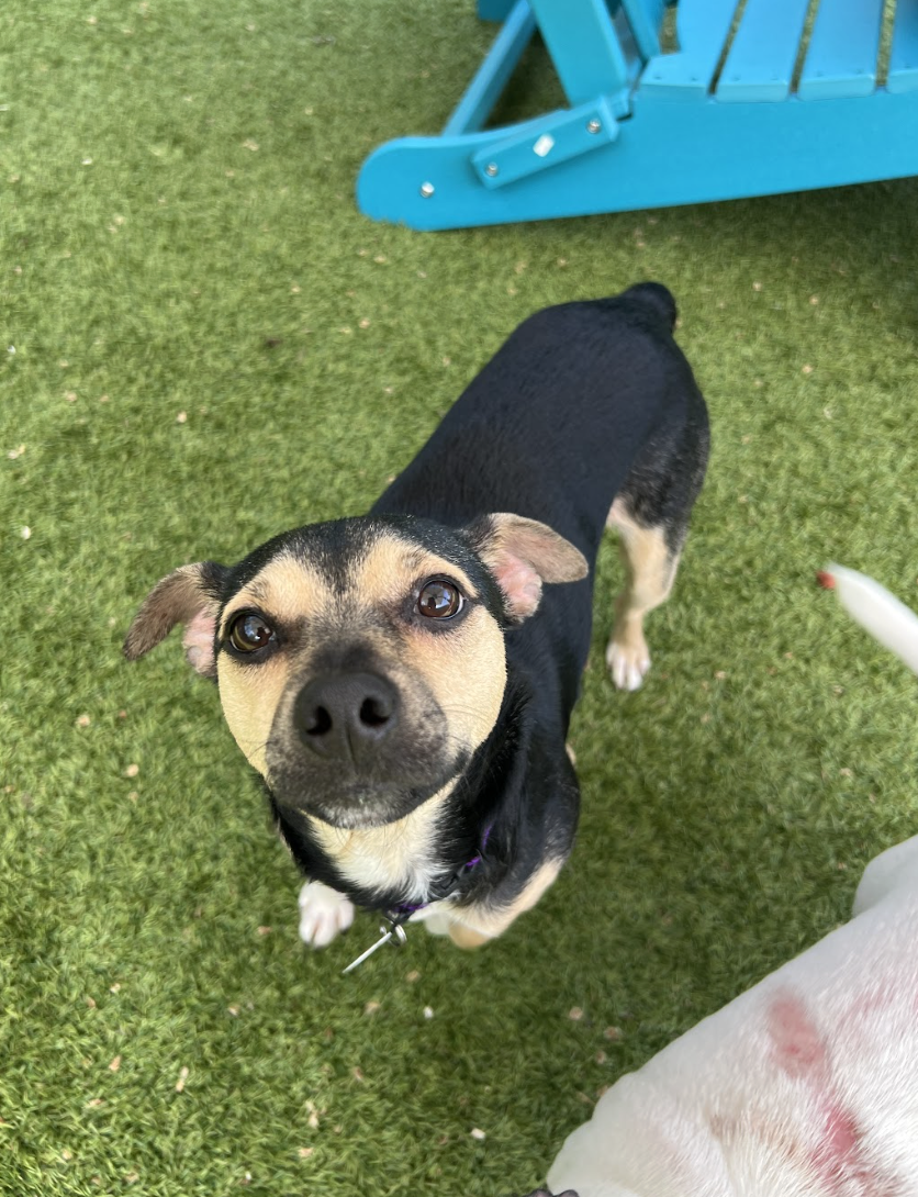 Screenshot 2026-04-09 at 6.49.39 PM.png