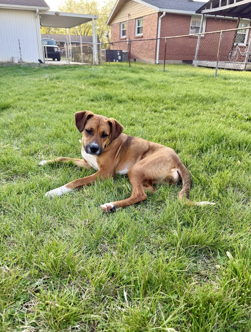 Screenshot 2026-04-13 at 2.55.39 PM.png