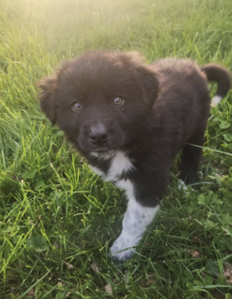 Screenshot 2026-04-13 at 2.37.50 PM.png