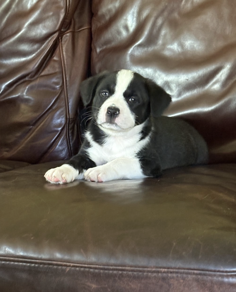 Screenshot 2026-03-27 at 8.00.37 PM.png