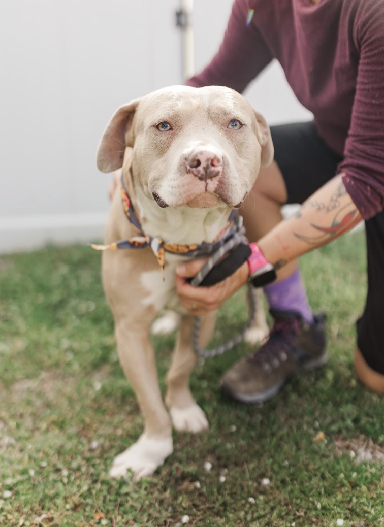 Screenshot 2026-03-24 at 12.42.47 PM.png