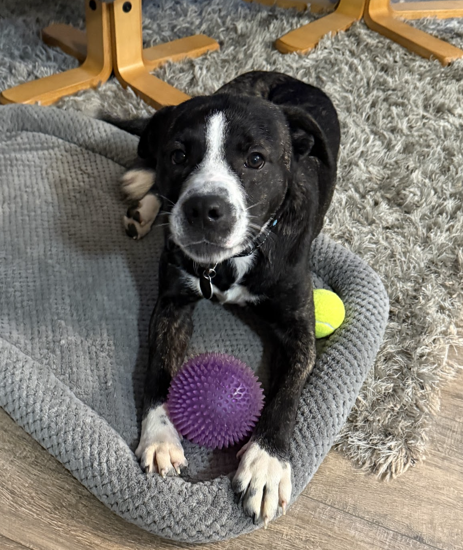 Screenshot 2026-04-07 at 5.01.51 PM.png