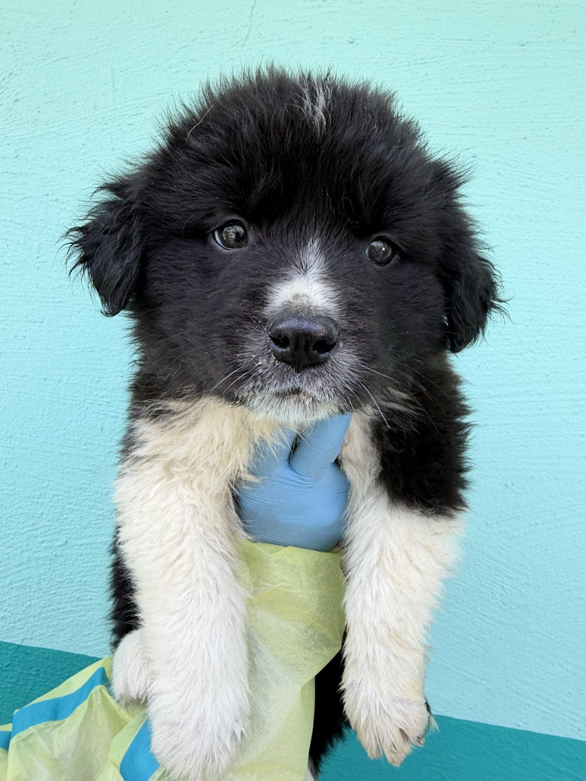 Screenshot 2026-04-13 at 2.44.43 PM.png