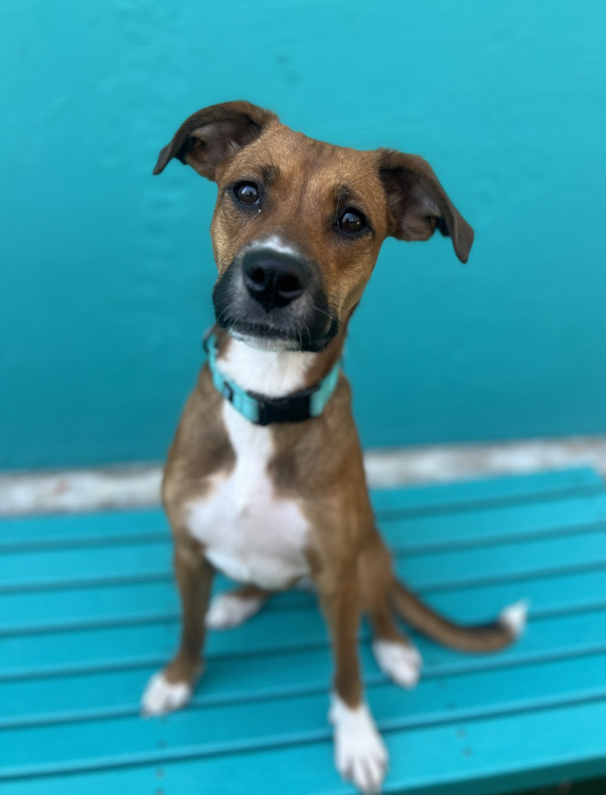 Screenshot 2026-03-20 at 2.29.57 PM.png