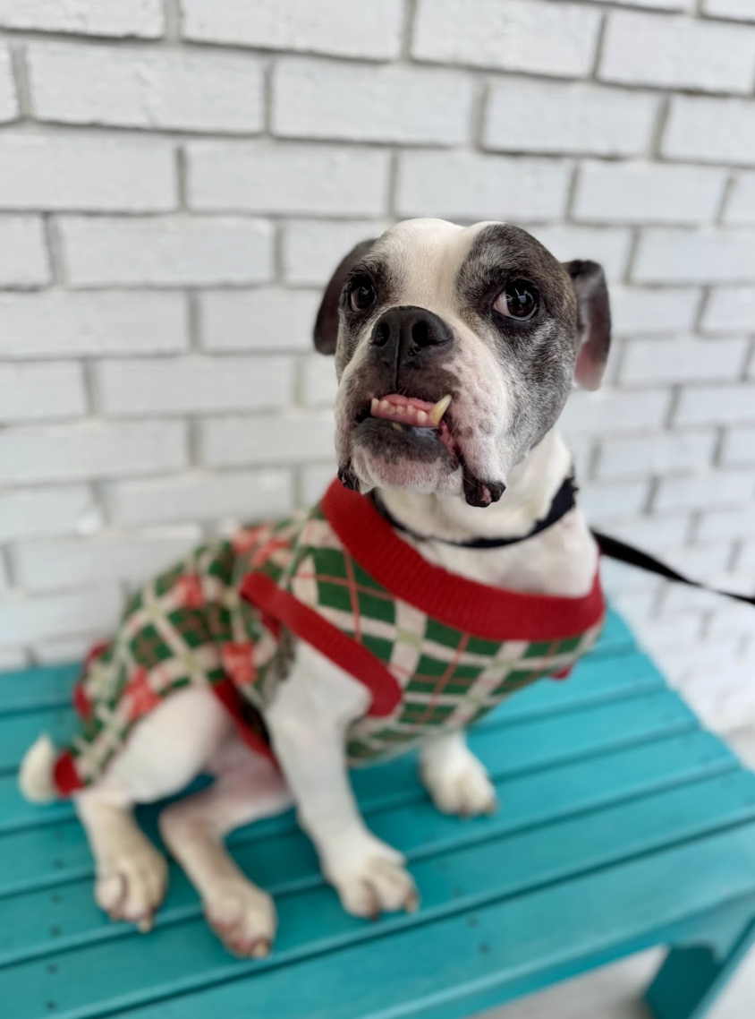 Screenshot 2026-01-15 at 7.40.33 PM.png