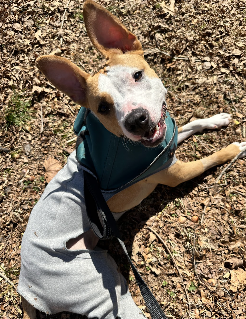 Screenshot 2026-03-06 at 2.37.51 PM.png