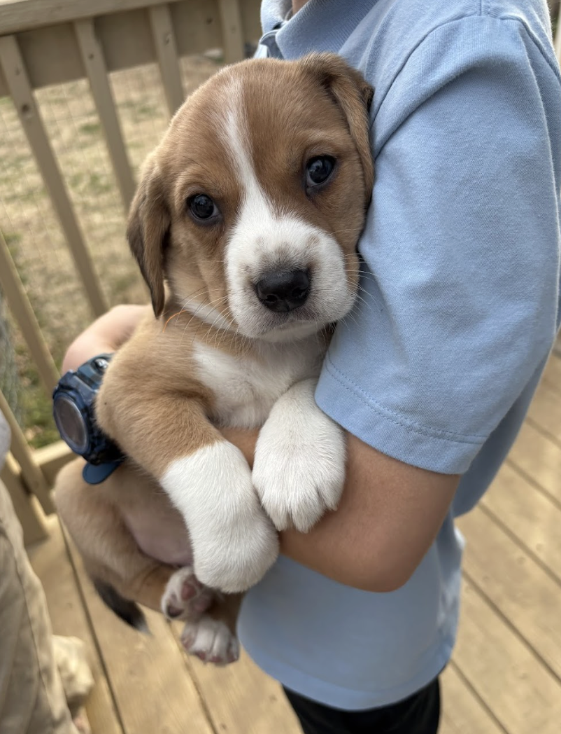 Screenshot 2026-02-21 at 4.42.34 PM.png