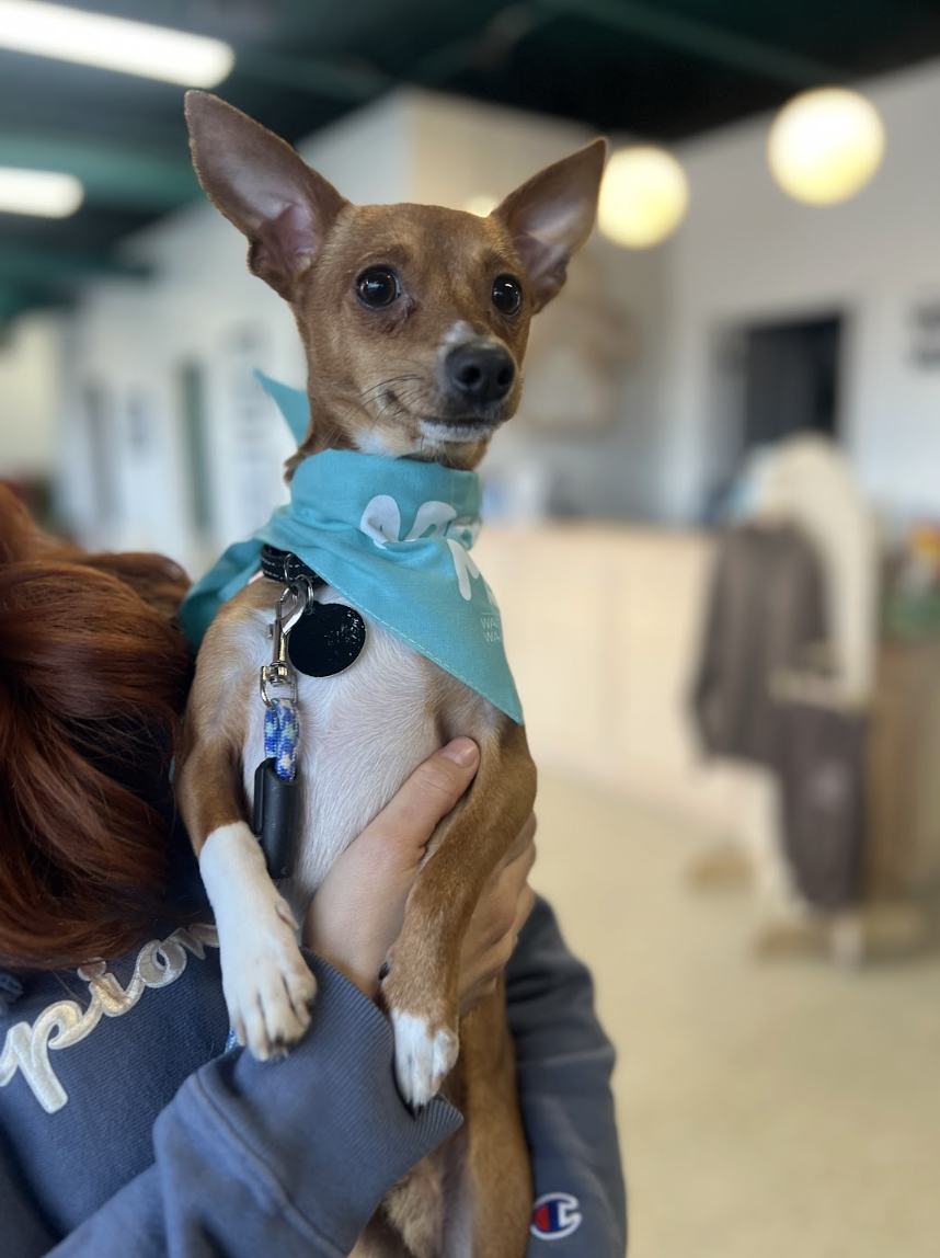 Screenshot 2026-02-25 at 12.54.19 PM.png