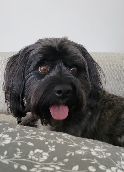 Screenshot 2026-04-22 at 3.59.36 PM.png