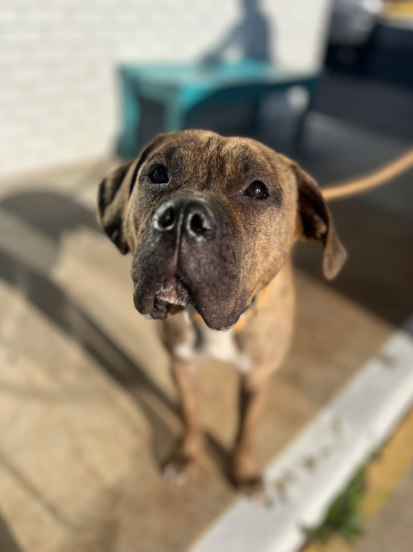 Screenshot 2026-01-10 at 11.46.08 AM.png