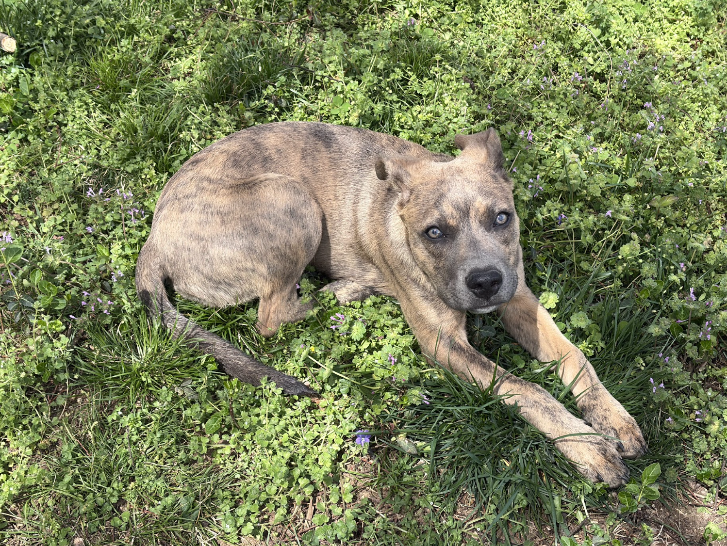 Screenshot 2026-04-03 at 2.27.10 PM.png