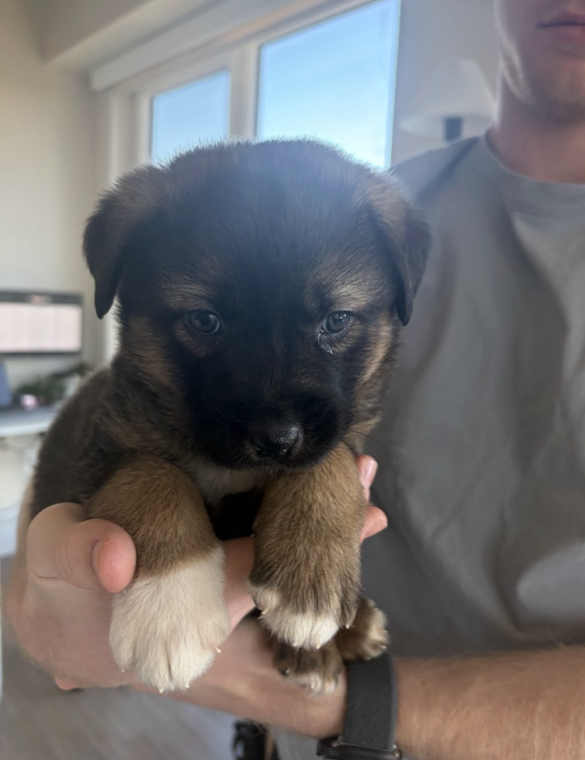 Screenshot 2026-03-05 at 6.10.02 PM.png