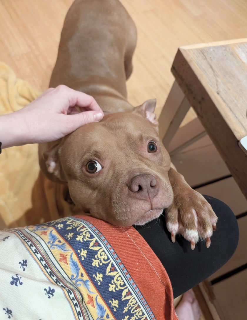 Screenshot 2026-04-22 at 5.56.27 PM.png