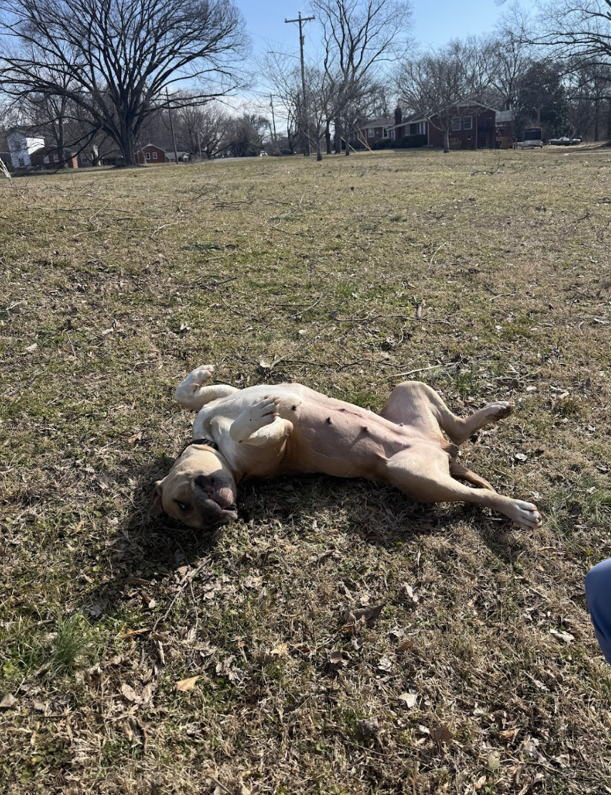 Screenshot 2026-02-27 at 2.36.41 PM.png