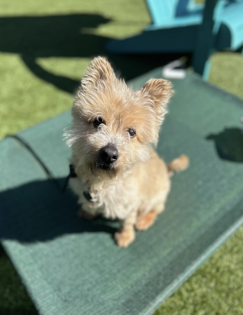 Screenshot 2026-03-11 at 8.24.49 PM.png