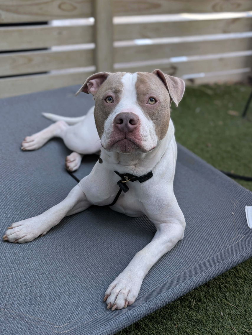 Screenshot 2026-04-23 at 2.02.08 PM.png