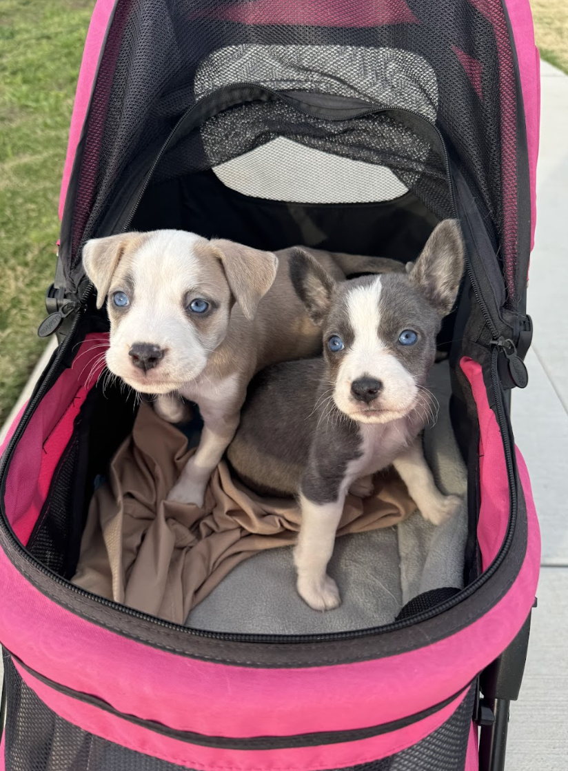 Screenshot 2026-04-23 at 2.15.37 PM.png