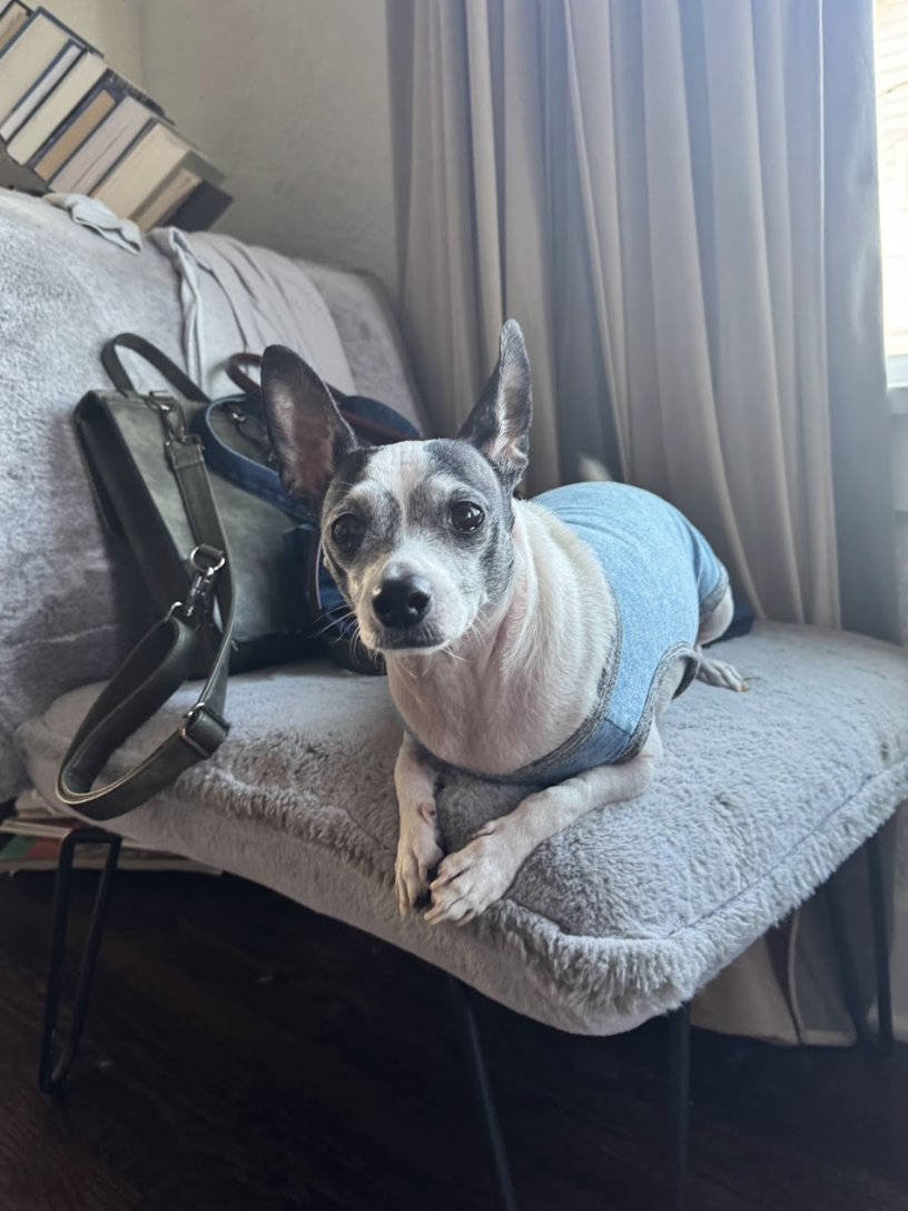 Screenshot 2026-04-22 at 4.12.46 PM.png