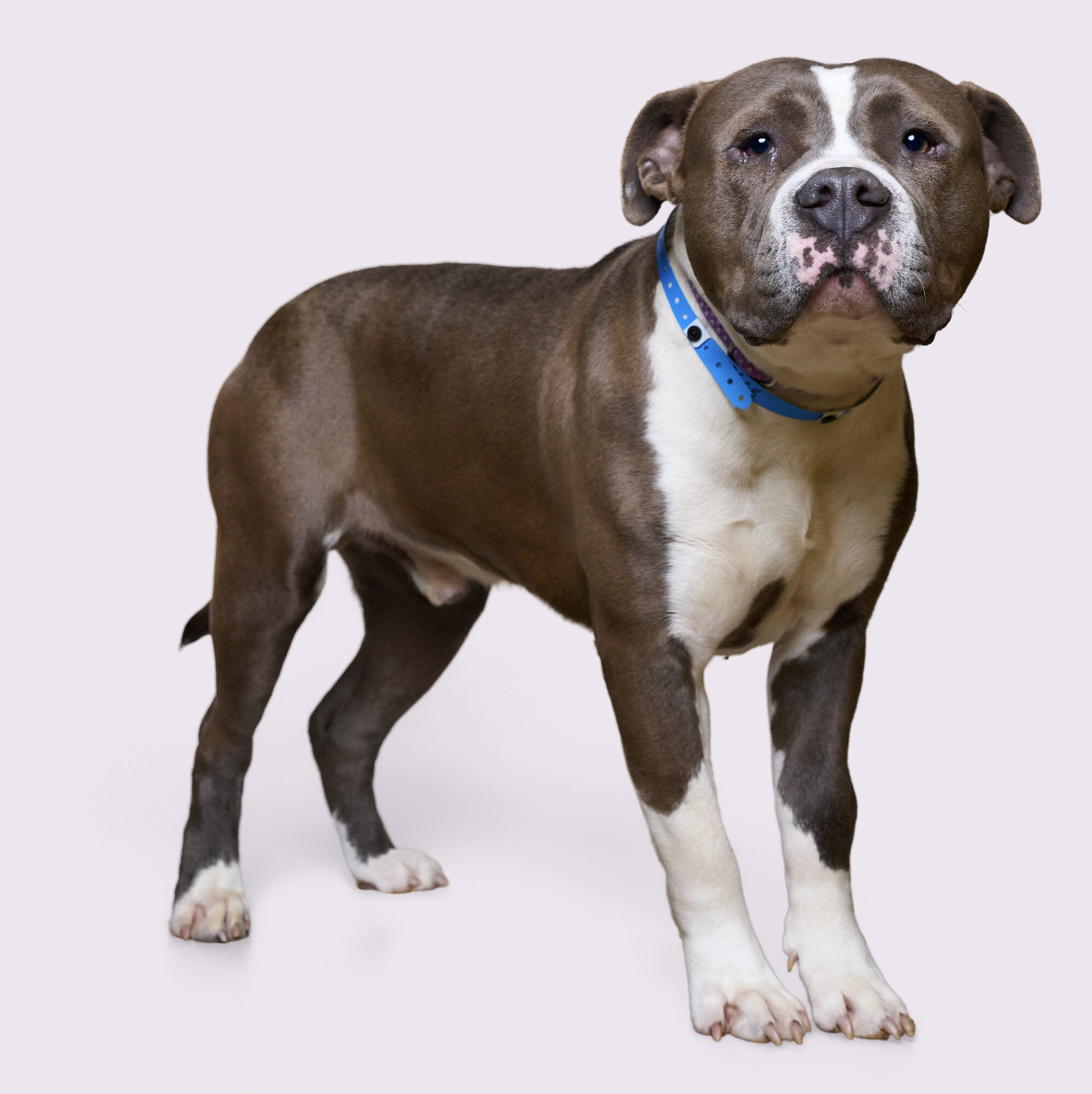 Screenshot 2026-02-16 at 6.41.02 PM.png