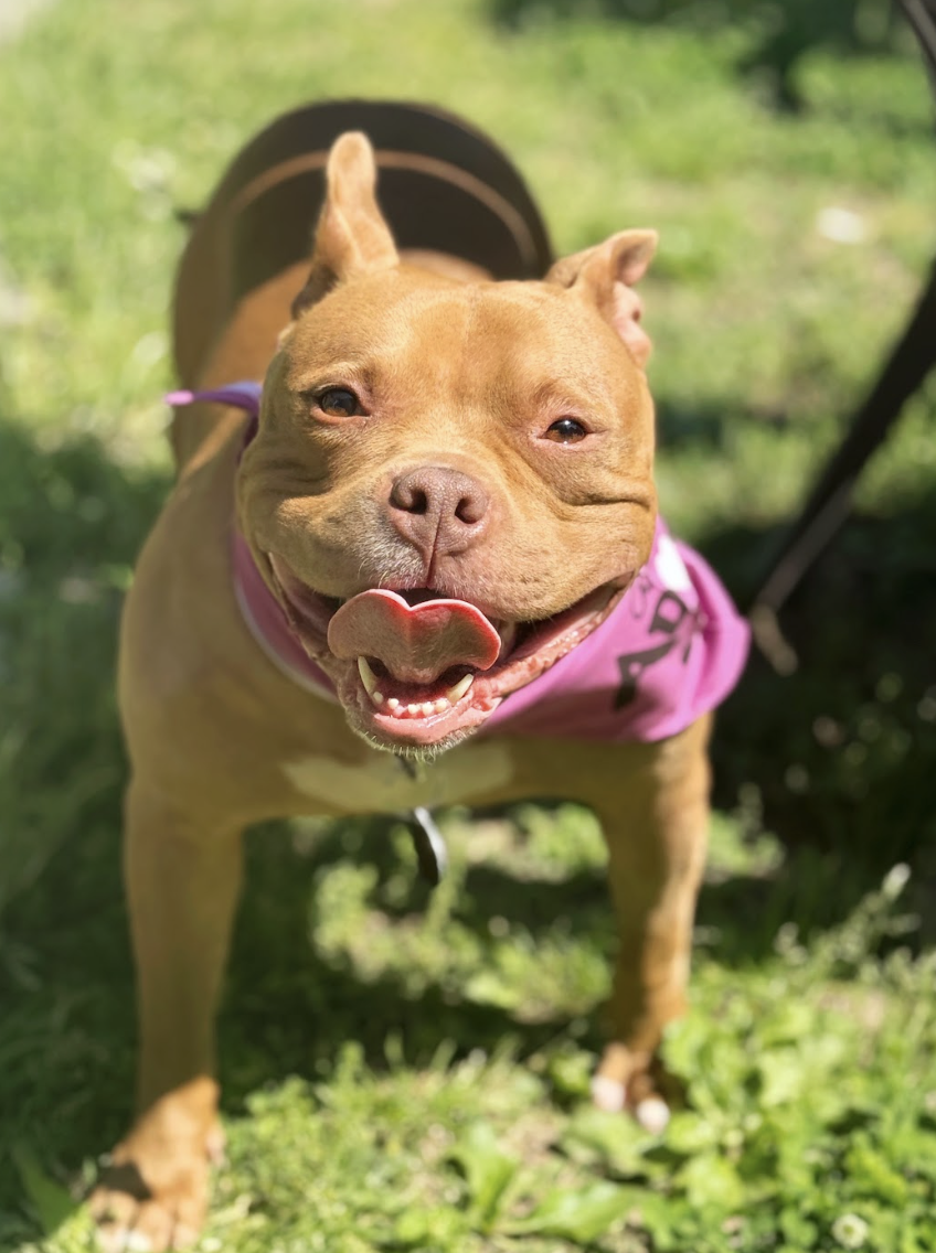 Screenshot 2026-04-22 at 5.56.37 PM.png