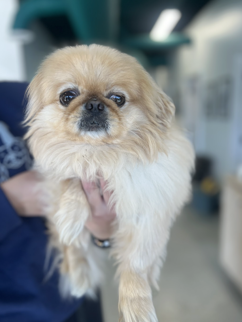 Screenshot 2026-03-14 at 4.40.19 PM.png