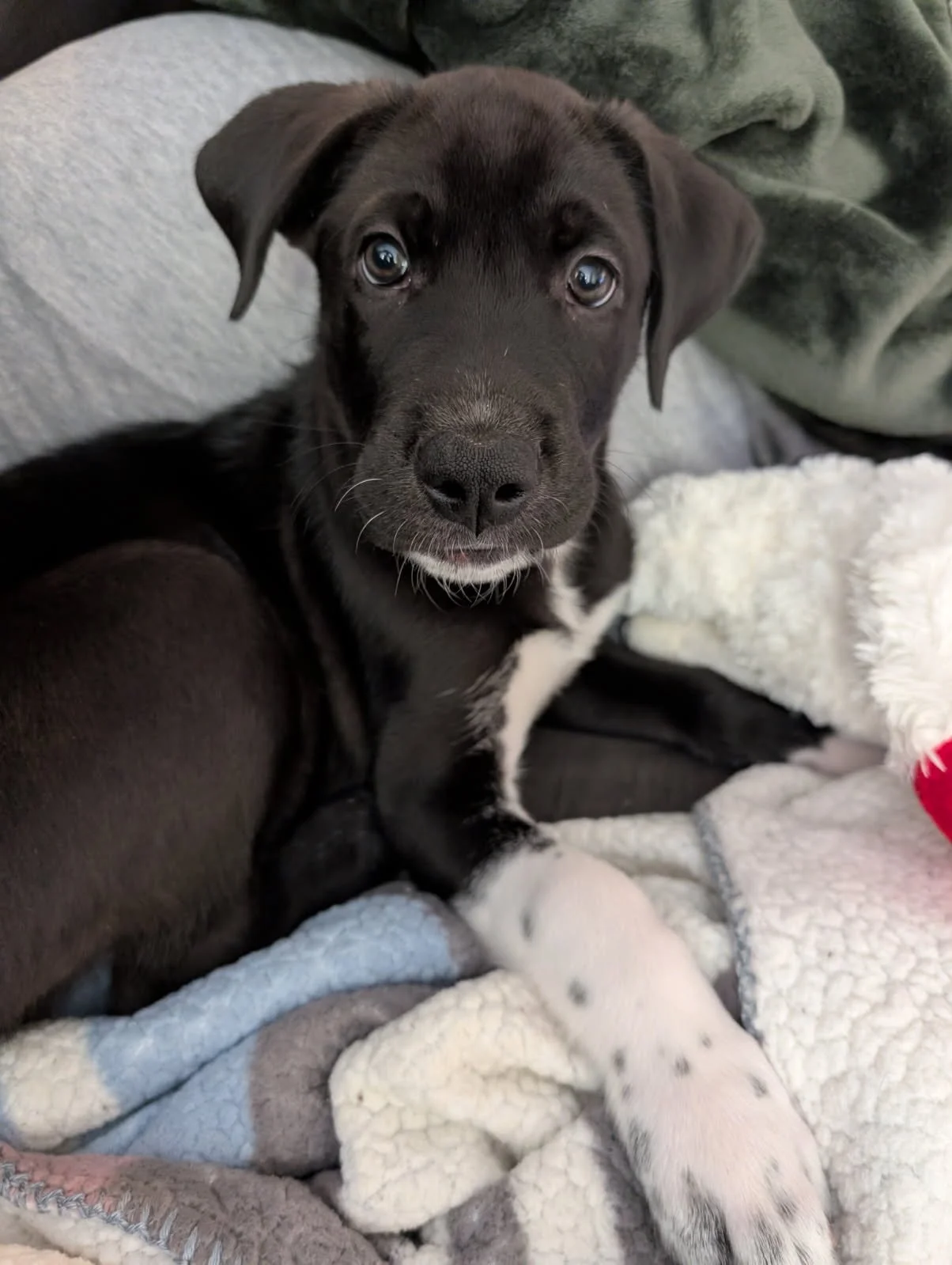 Snore_Question Face.JPG