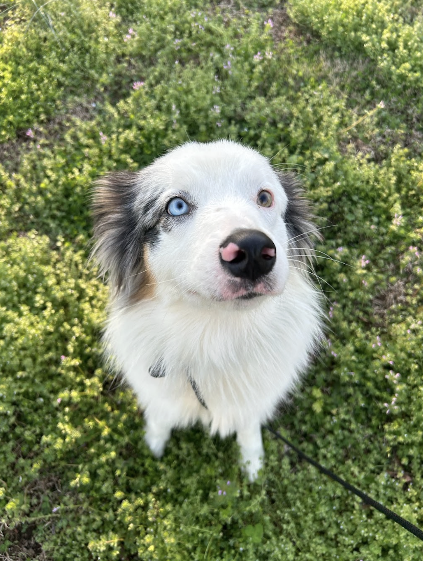 Screenshot 2026-03-14 at 4.46.40 PM.png