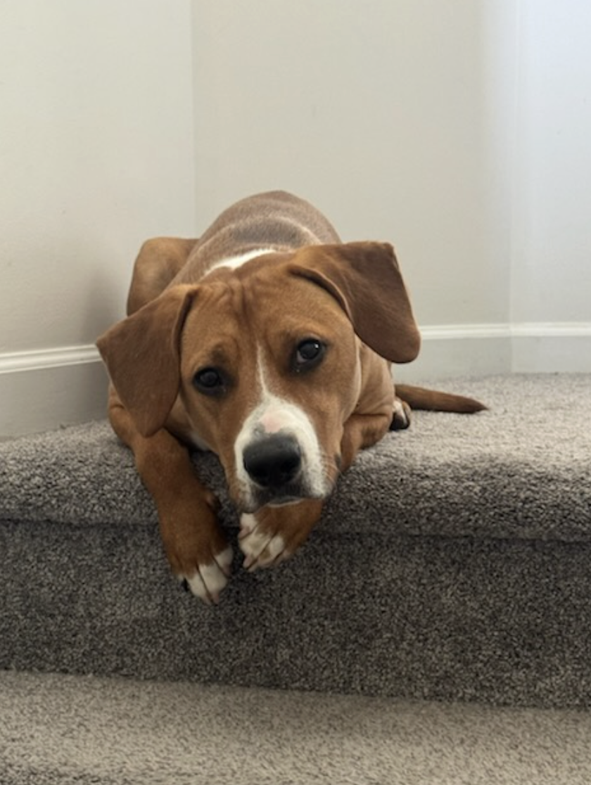 Screenshot 2026-04-22 at 3.28.44 PM.png