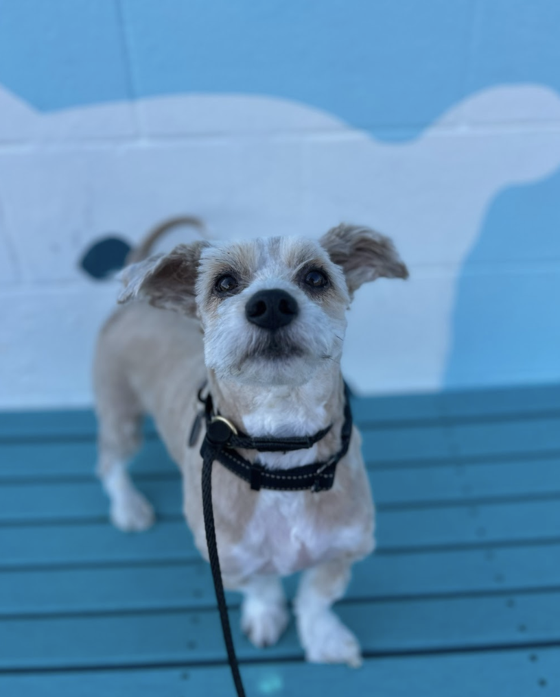 Screenshot 2026-03-14 at 6.31.03 PM.png