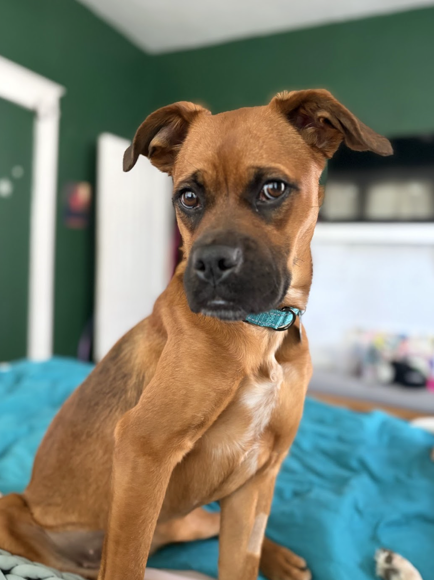 Screenshot 2026-04-22 at 4.04.42 PM.png