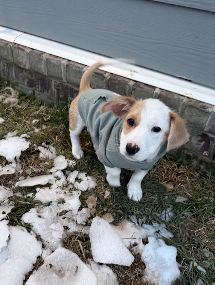 Screenshot 2026-02-07 at 1.54.48 PM.png