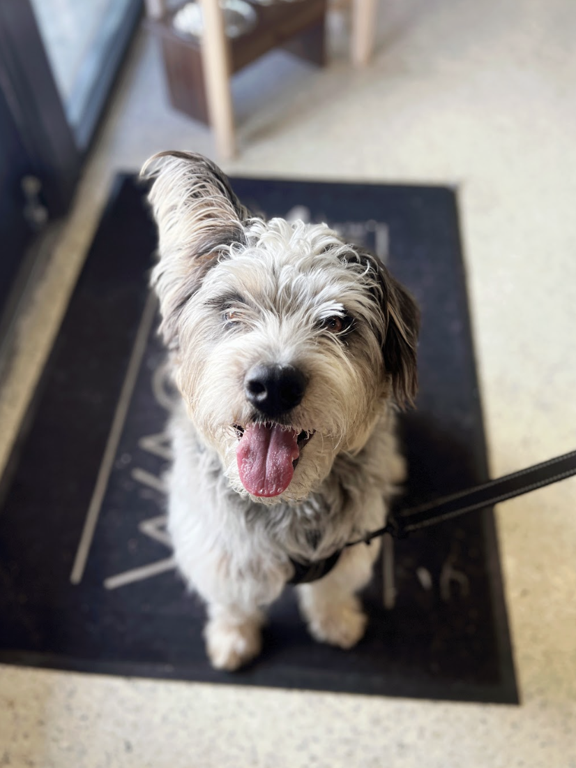 Screenshot 2026-04-22 at 6.01.33 PM.png