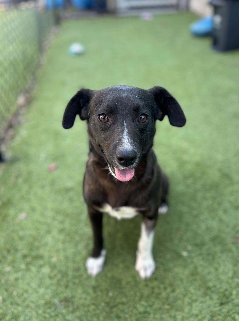 Screenshot 2026-02-12 at 2.03.09 PM.png