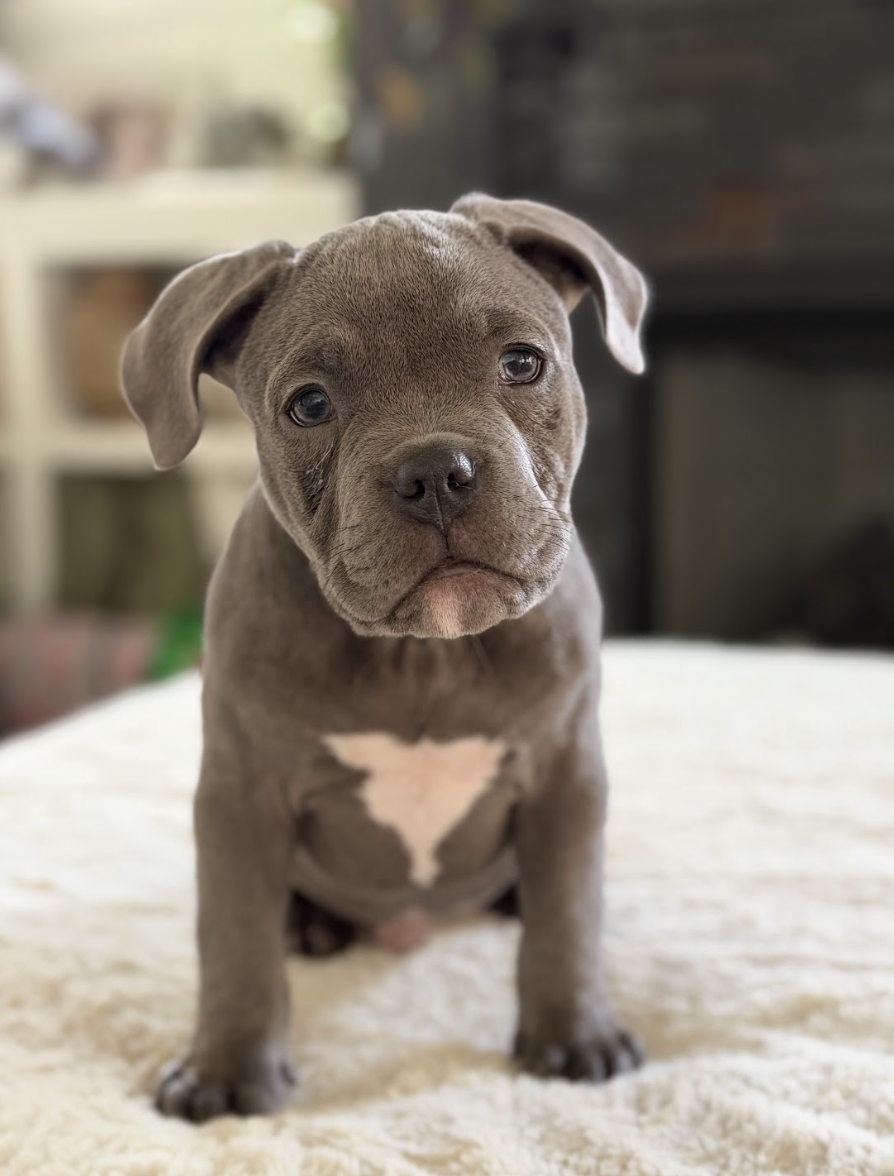 Screenshot 2026-02-26 at 8.43.52 PM.png