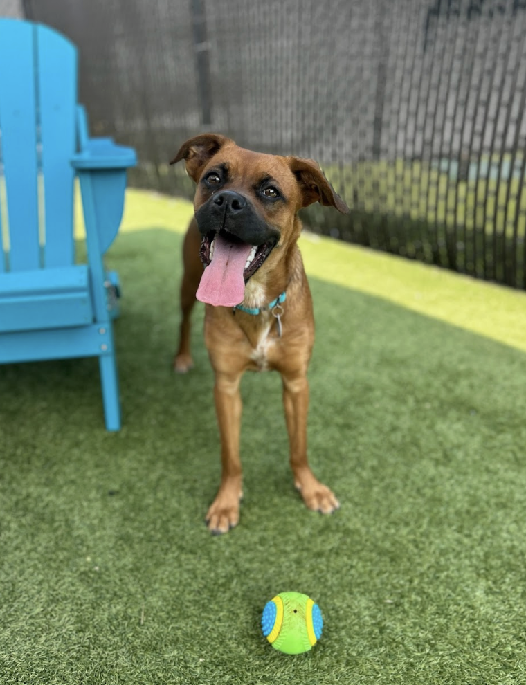 Screenshot 2026-03-20 at 2.28.59 PM.png