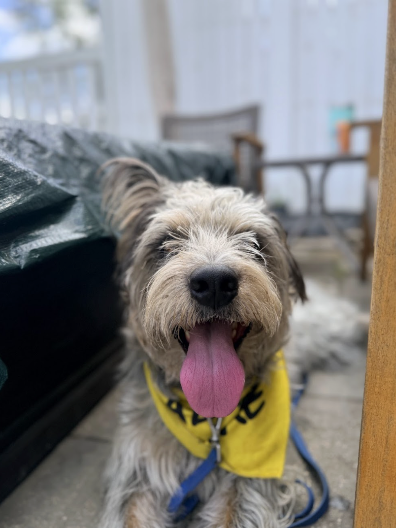 Screenshot 2026-04-08 at 12.41.09 PM.png