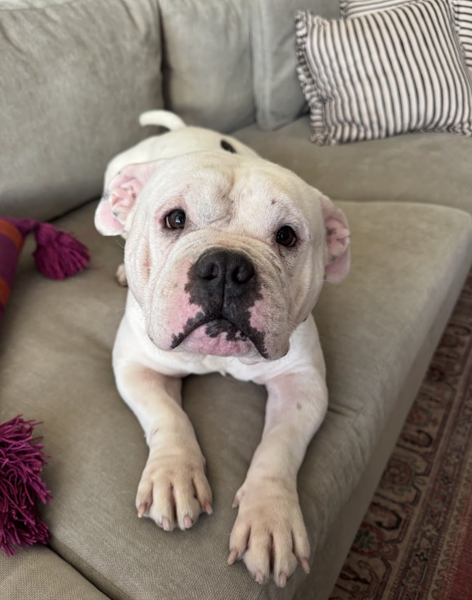 Screenshot 2026-02-16 at 6.08.24 PM.png