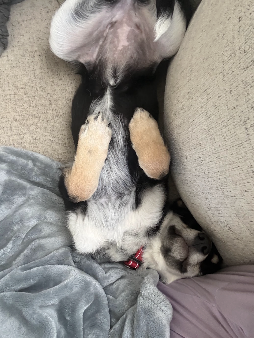 Screenshot 2026-04-29 at 1.49.05 PM.png