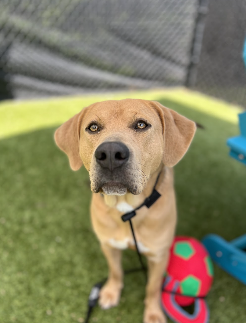 Screenshot 2026-04-09 at 6.41.51 PM.png