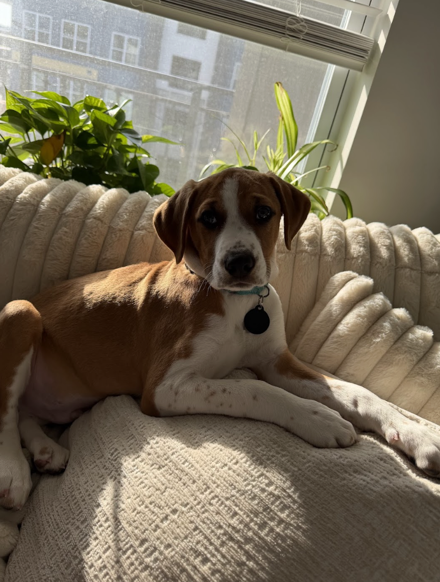 Screenshot 2026-02-13 at 1.24.14 PM.png