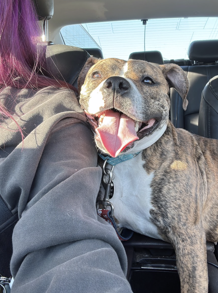 Screenshot 2025-12-26 at 4.31.54 PM.png