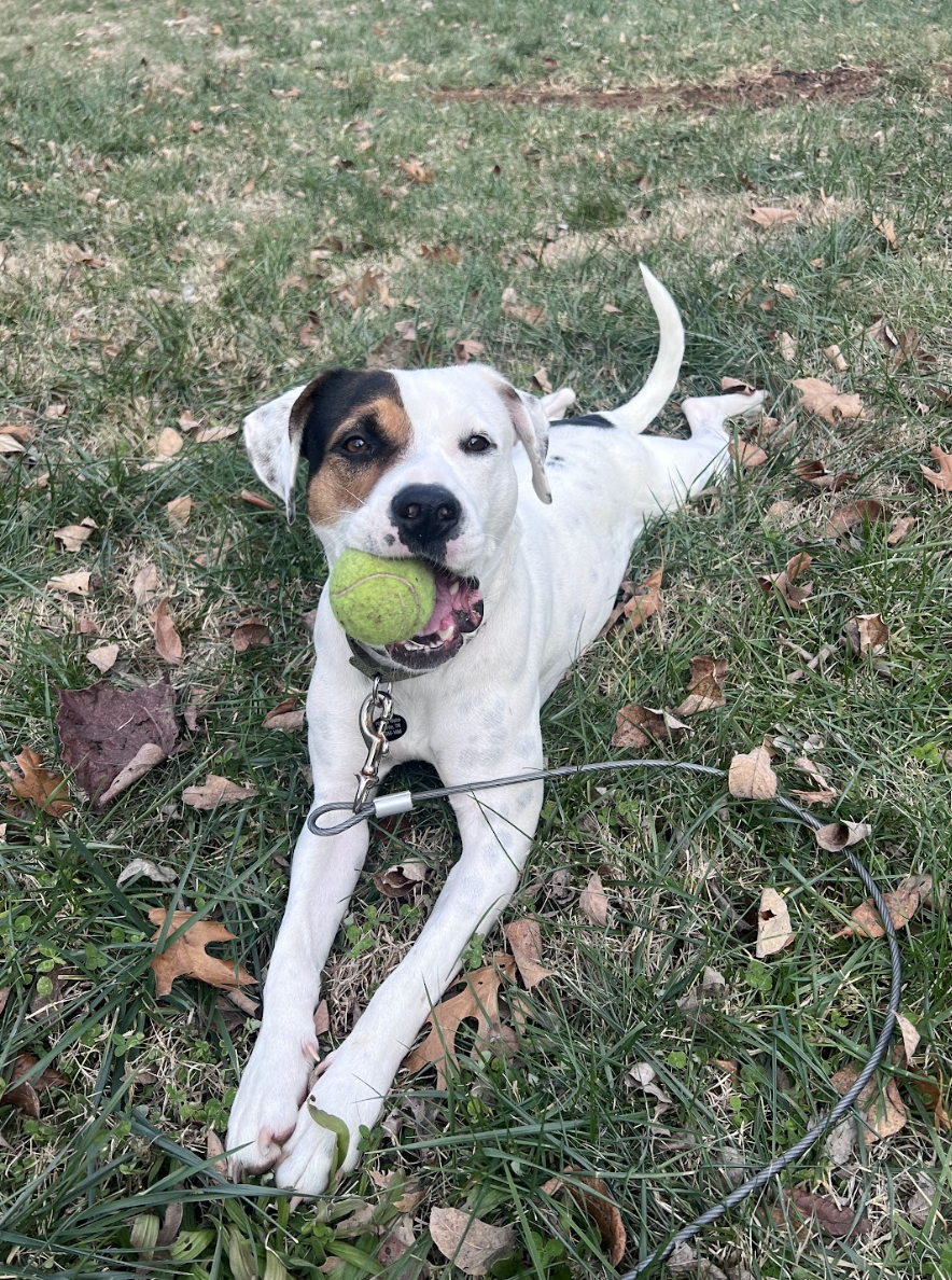 Screenshot 2026-01-14 at 9.20.21 PM.png