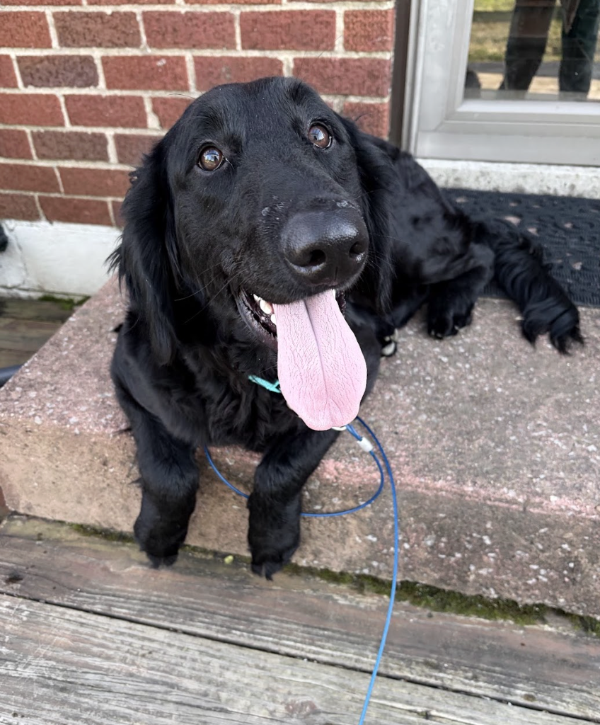 Screenshot 2026-03-20 at 3.21.41 PM.png