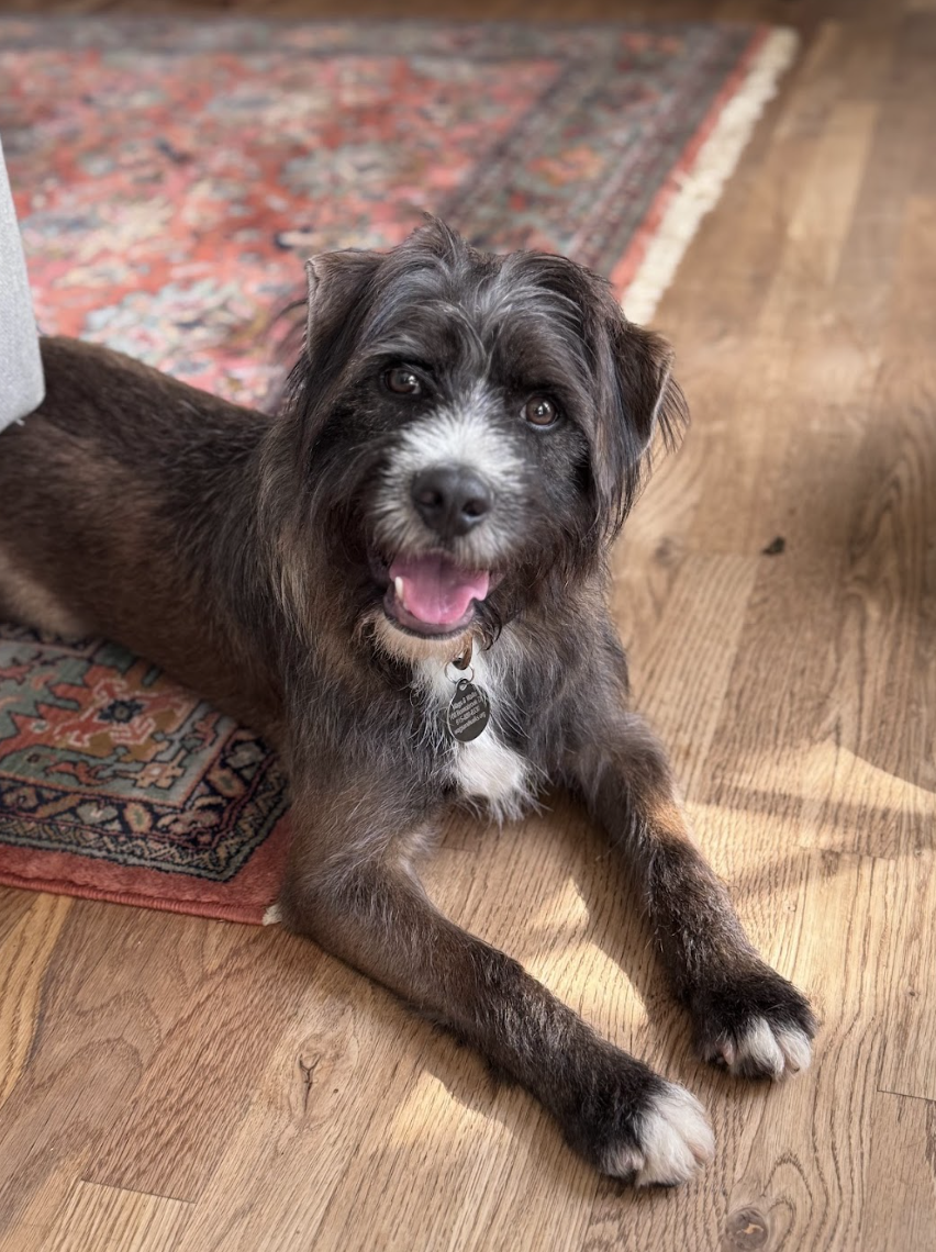 Screenshot 2026-04-28 at 2.05.03 PM.png