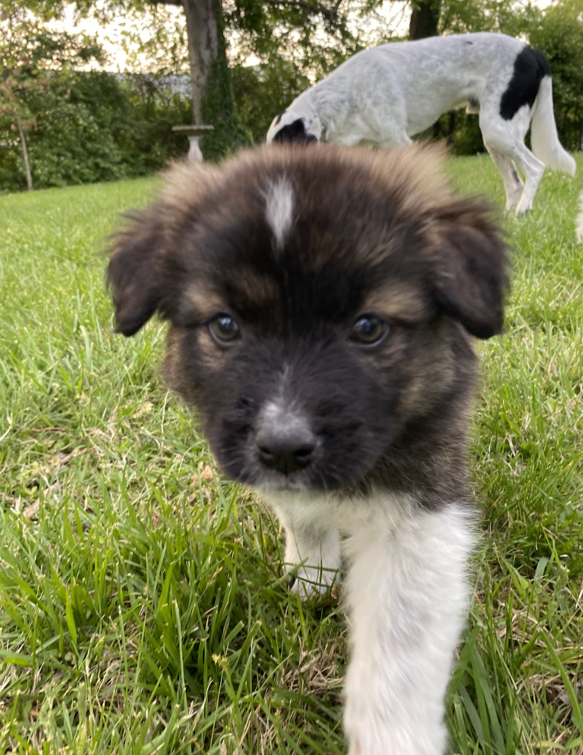 Screenshot 2026-04-13 at 2.45.41 PM.png