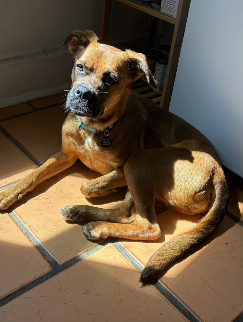 Screenshot 2026-04-22 at 4.04.31 PM.png