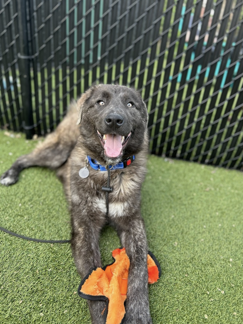 Screenshot 2026-03-26 at 3.19.33 PM.png