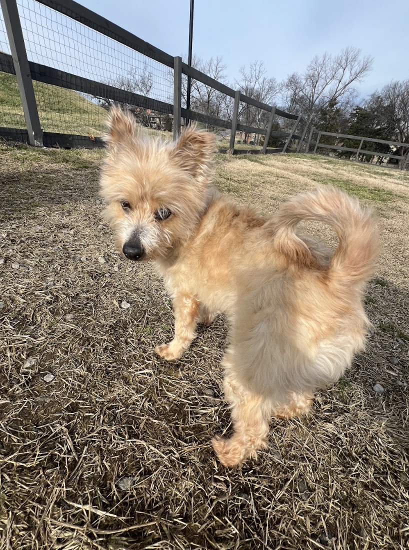 Screenshot 2026-03-11 at 8.25.44 PM.png