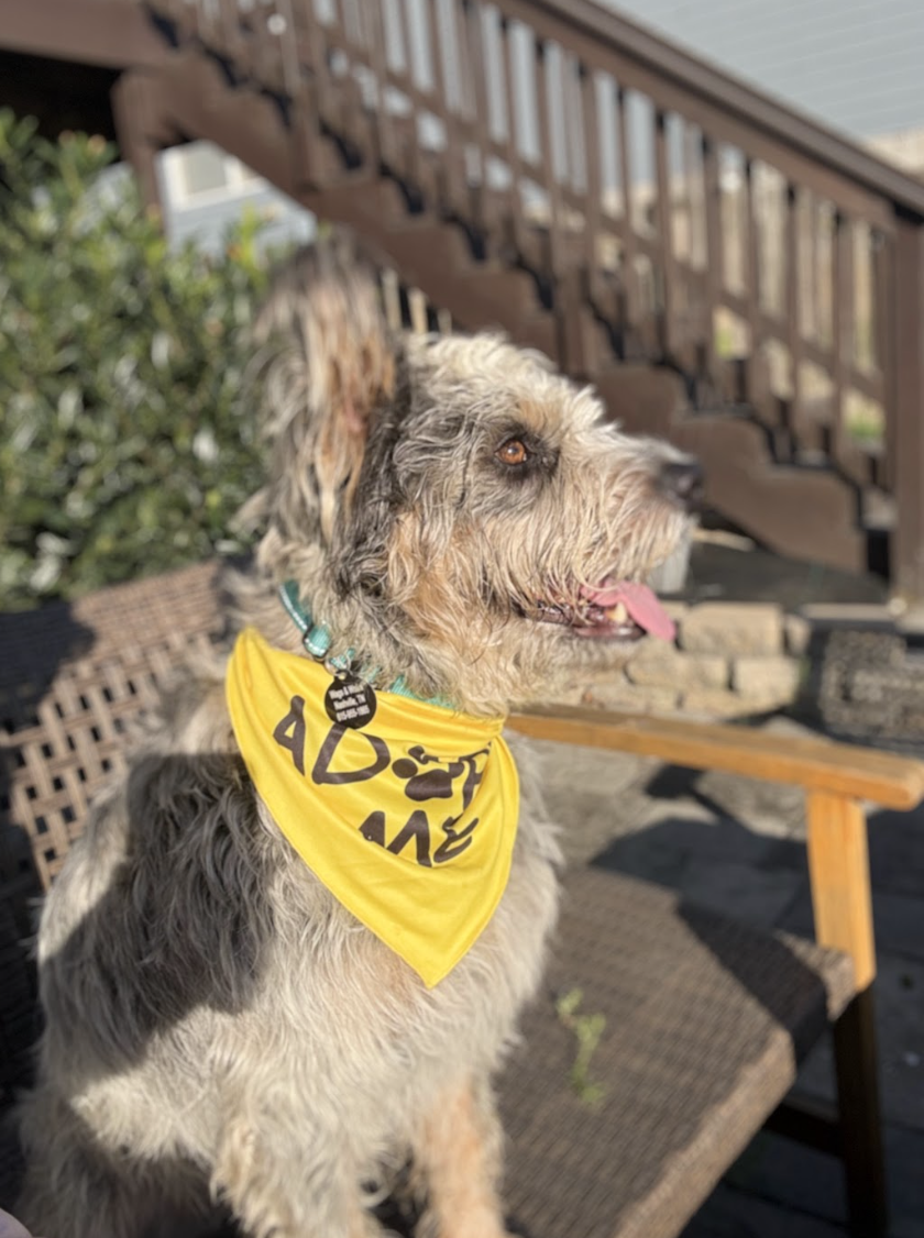 Screenshot 2026-04-08 at 12.41.02 PM.png